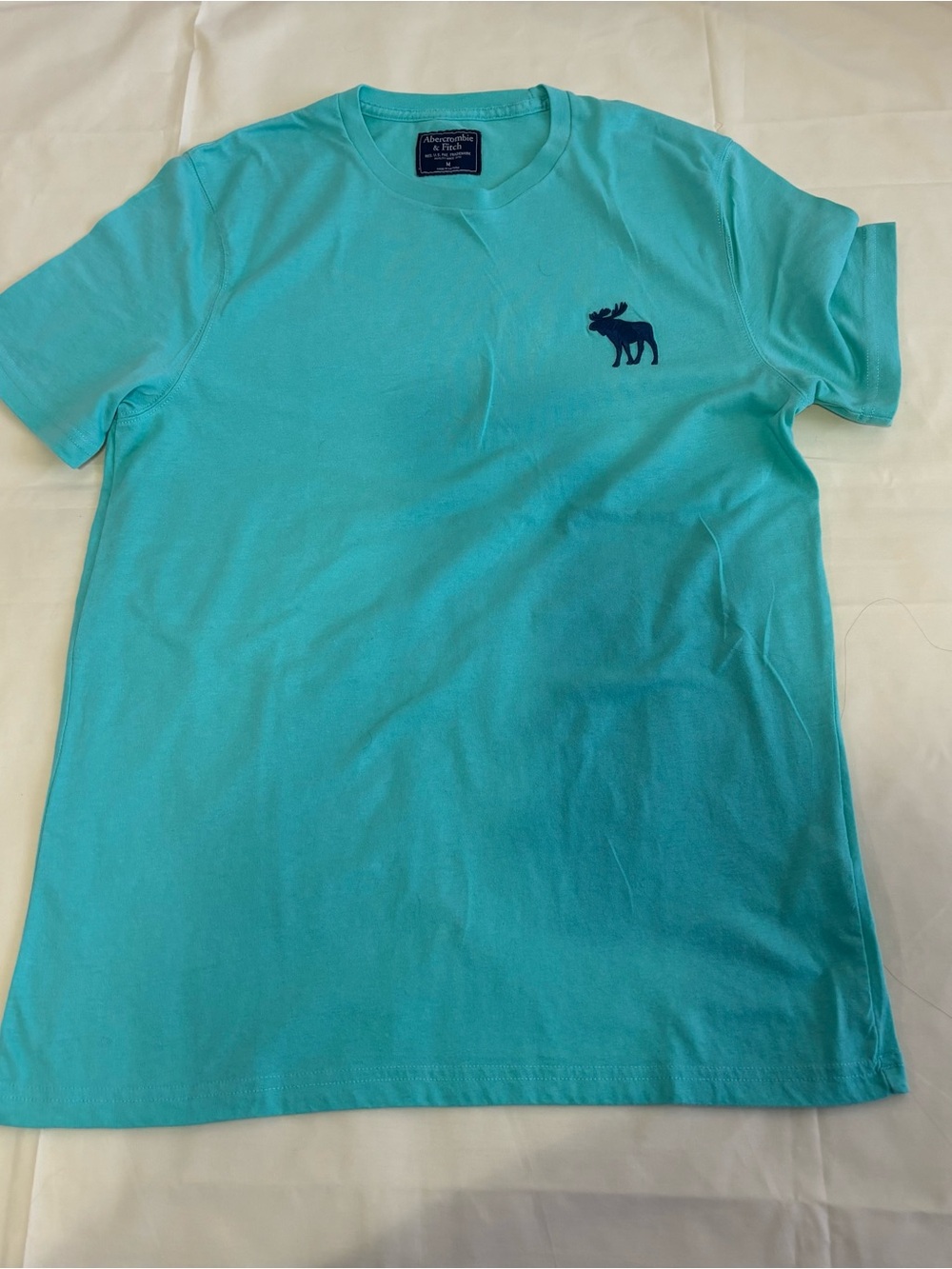 Abercrombie & Fitch Men’s Mint Crew Neck T-Shirt with Moose Logo